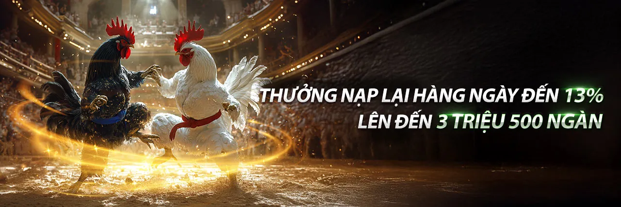 Sân đấu gà trực tuyến kịch tính tại BU88 Trang Chủ Chính Thức